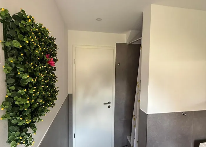 Lejlighed Bm Deluxe 5